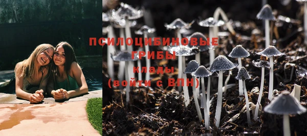 молекула духа Балахна