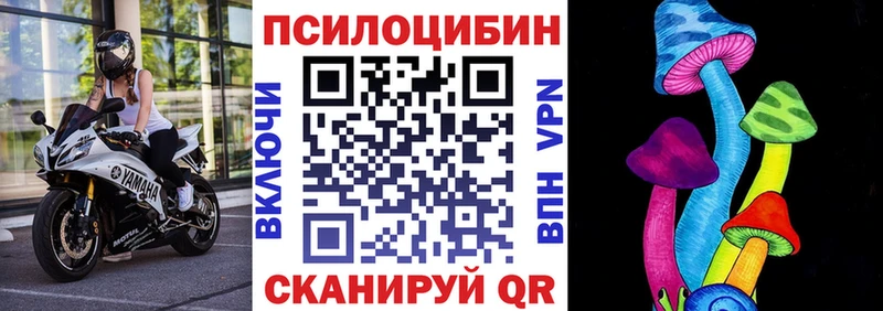 купить наркотик  Сясьстрой  Псилоцибиновые грибы GOLDEN TEACHER 